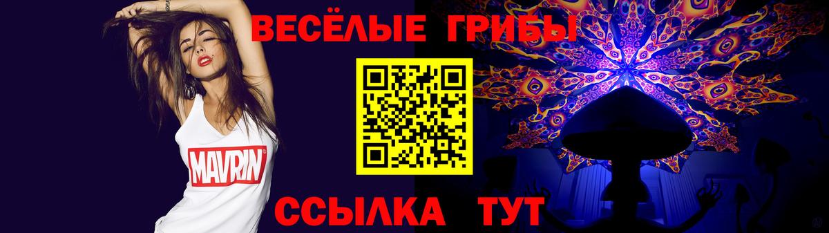 Артёмовский  Псилоцибиновые грибы Psilocybine cubensis  Вход с VPN 